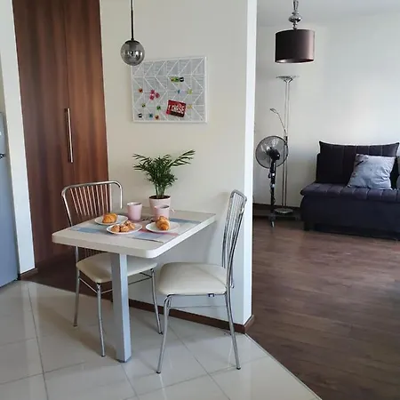 Przy Ogrodzie Saskim דירה