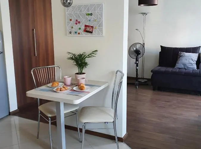 Przy Ogrodzie Saskim Apartment
